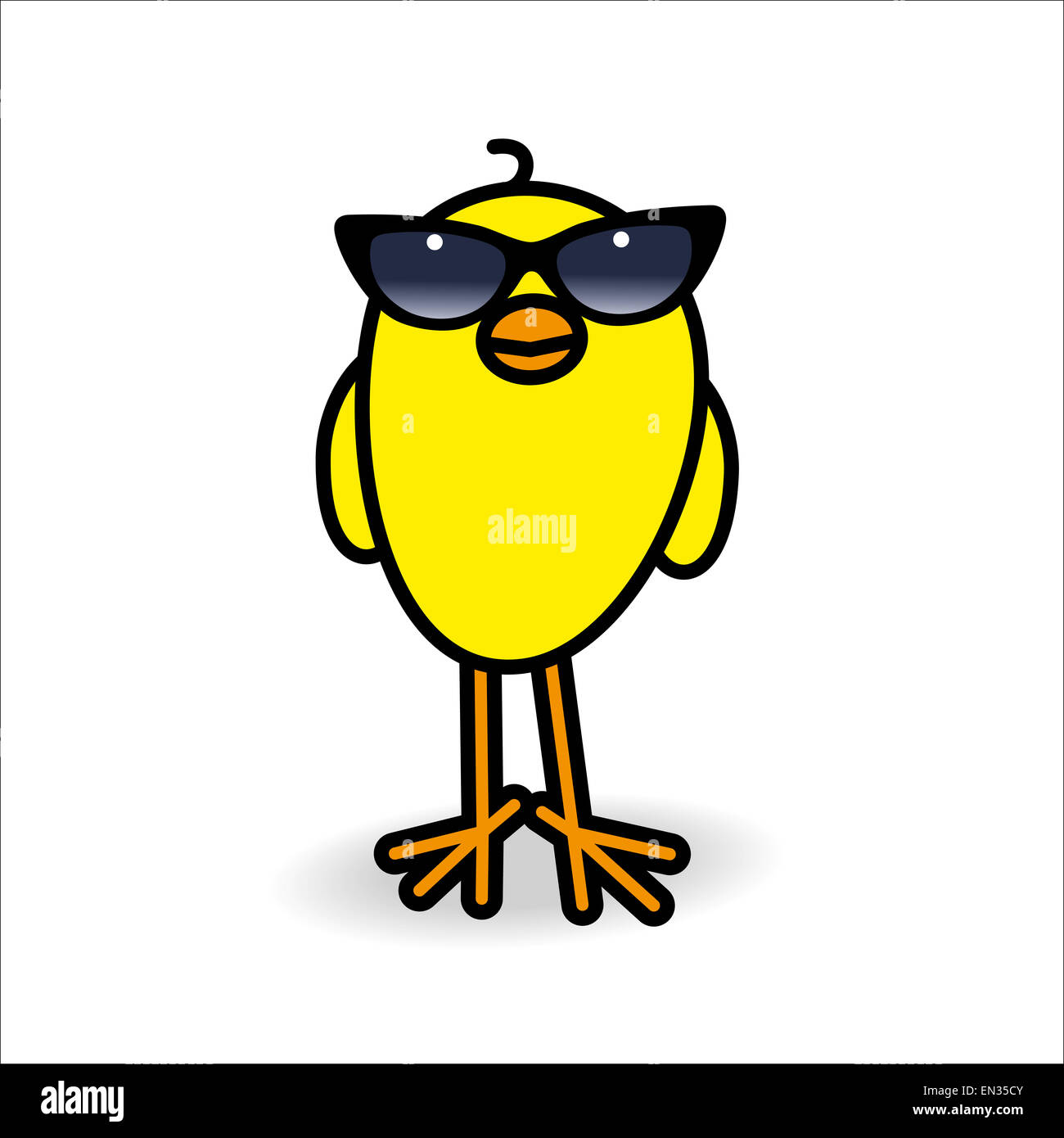 Single Smiling Yellow Chick Wearing Ladies Black Rimmed SUnglasses Staring towards camera on White Background Stock Photo