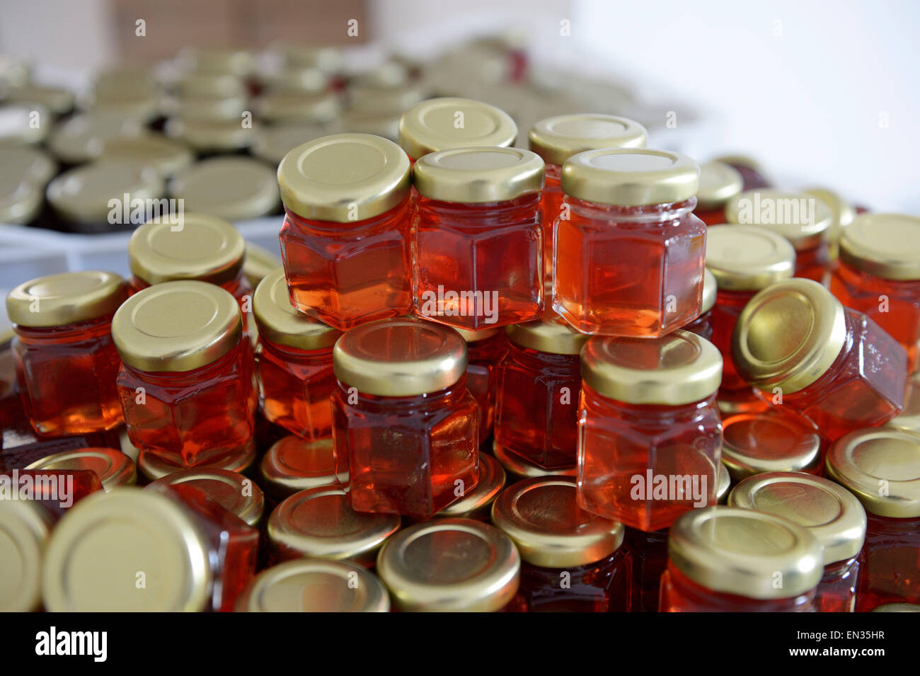 Jam made of Umbú fruits in jars, Caladinho, Uaua, Bahia, Brazil Stock Photo