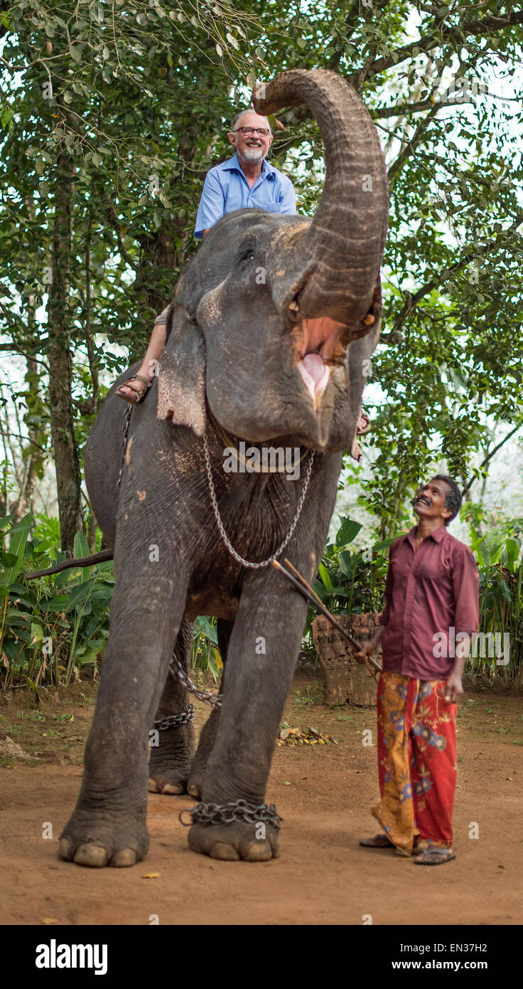 Tourist riding an elephant and mahout or elephant guide, Peermade, Kerala, India Stock Photo