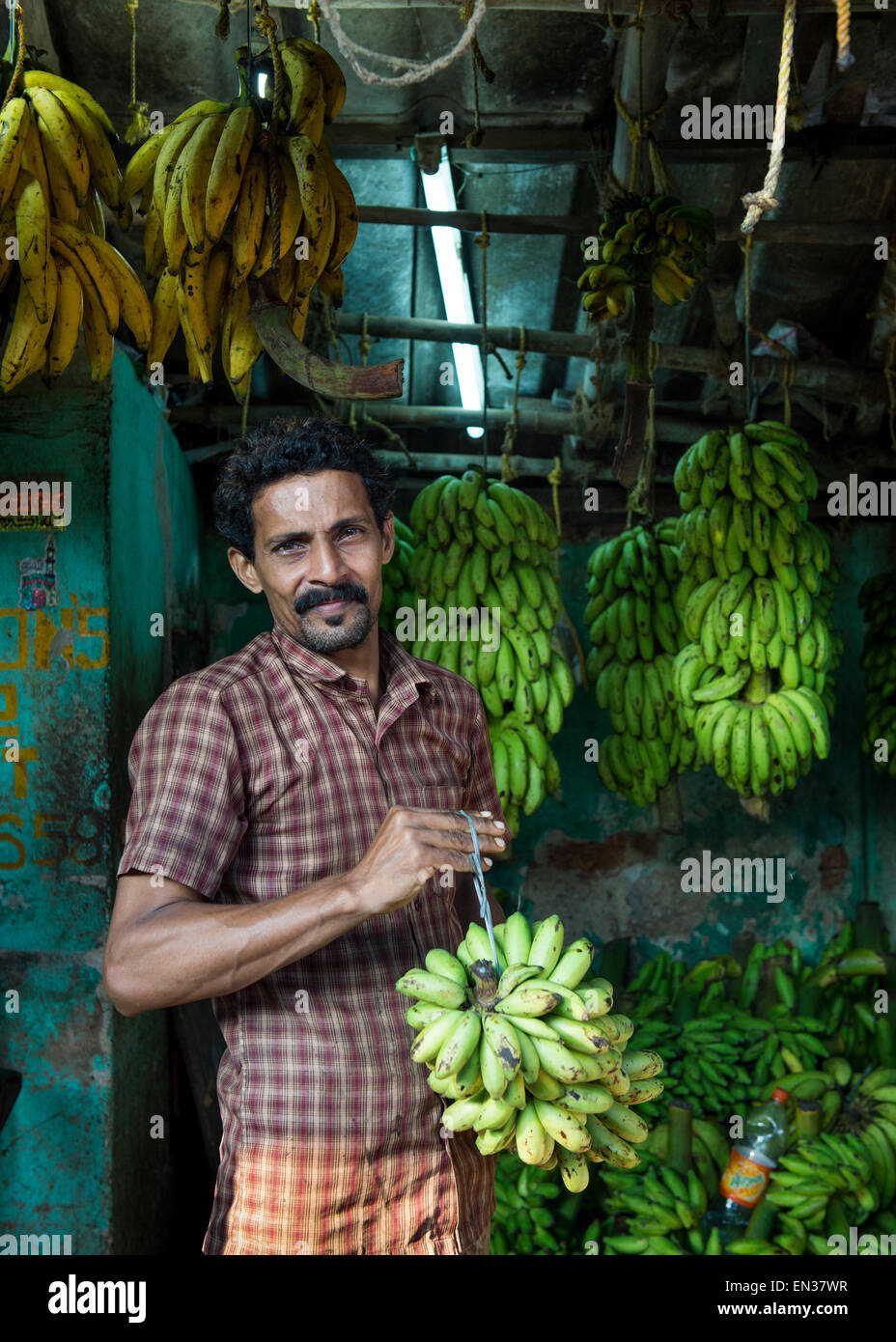 Banana seller, Broadway Market, Ernakulam, Kerala, India Stock Photo