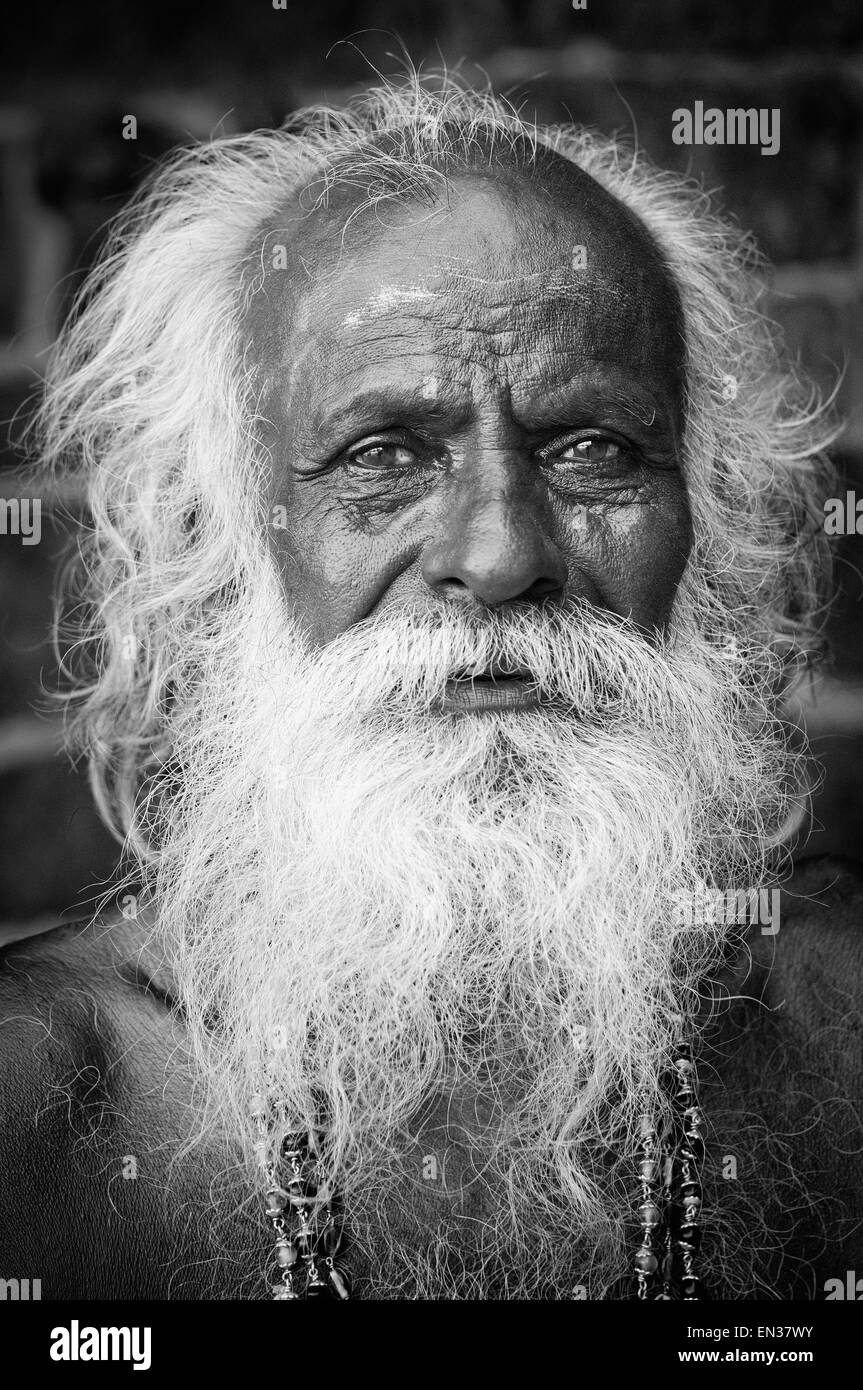 Elderly Sadhu with a white beard and white hair, portrait, Karaikudi, Tamil Nadu, South India, India Stock Photo
