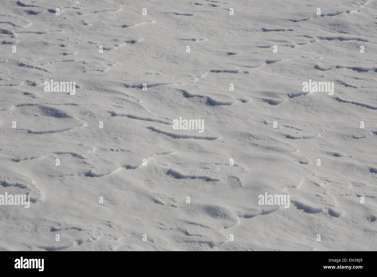Windblown snow on the ground, Eastern Townships, South Stukely, Quebec