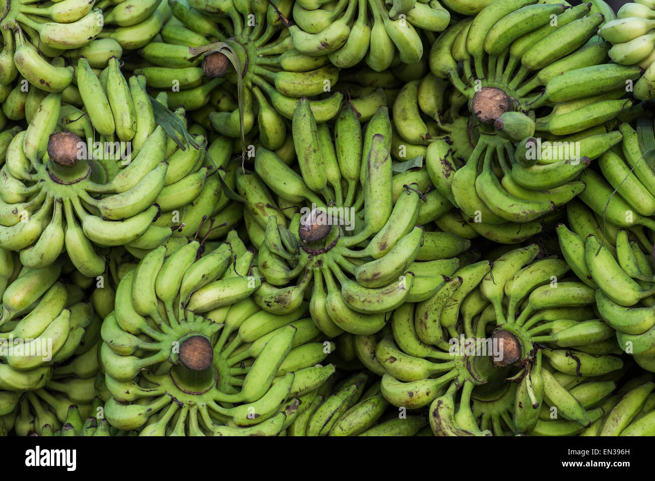 Banana stalks, Broadway Market, Ernakulum, Kerala, India Stock Photo