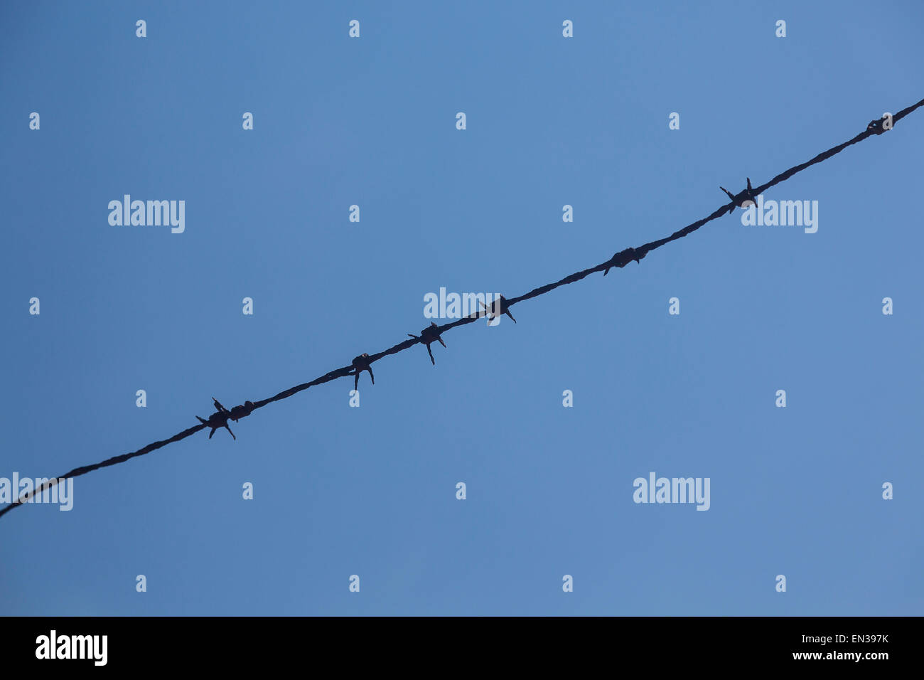 Barbed wire against blue sky, Germany Stock Photo