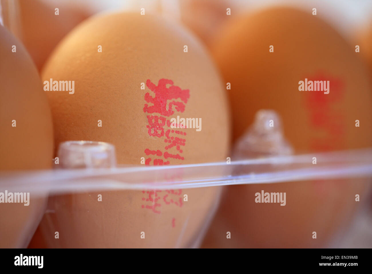 British lion hires stock photography and images Alamy