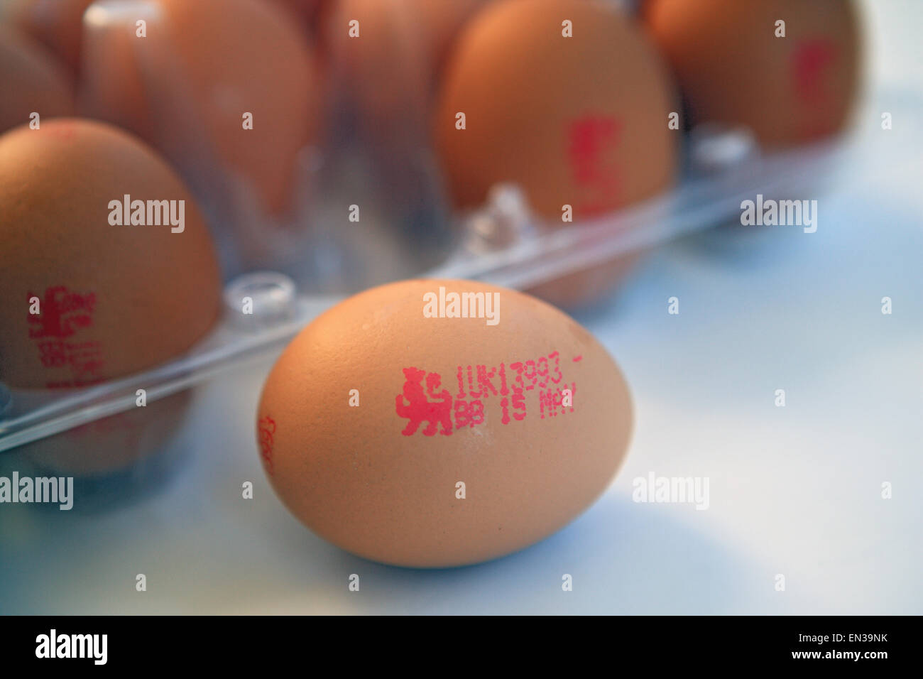 Eggs with the British Lion quality mark Stock Photo Alamy