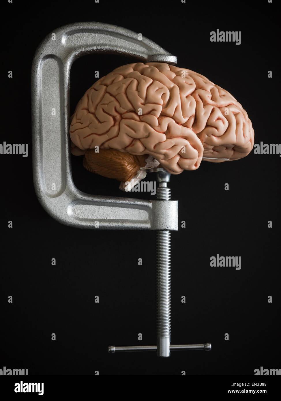 brain in a clamp Stock Photo