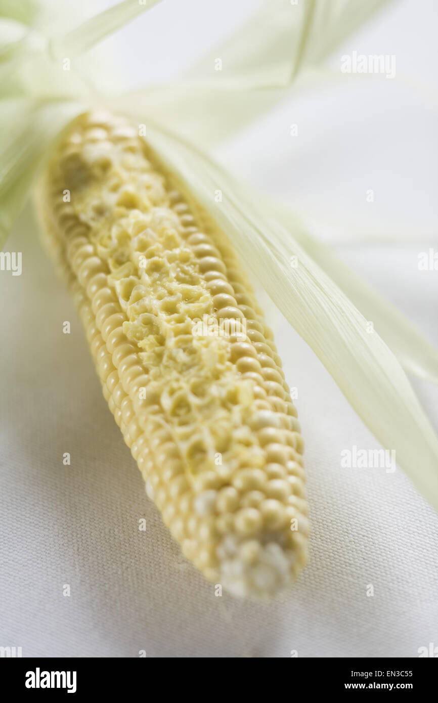 Cob of corn Stock Photo
