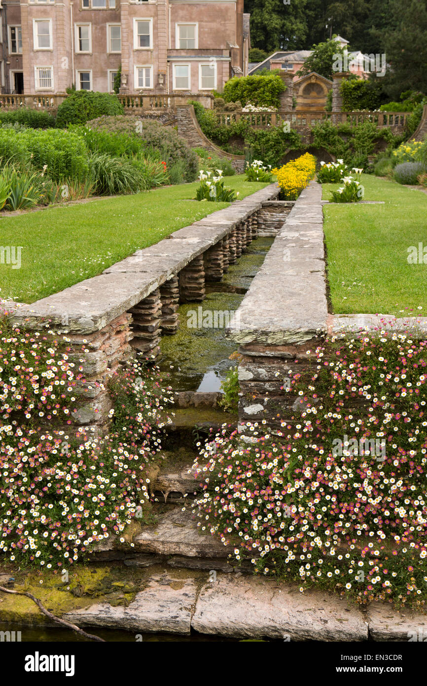 UK, England, Somerset, Cheddon Fitzpaine, Hestercombe Gardens, rill end planted with pink, white Erigeron karvinskianus daisies Stock Photo