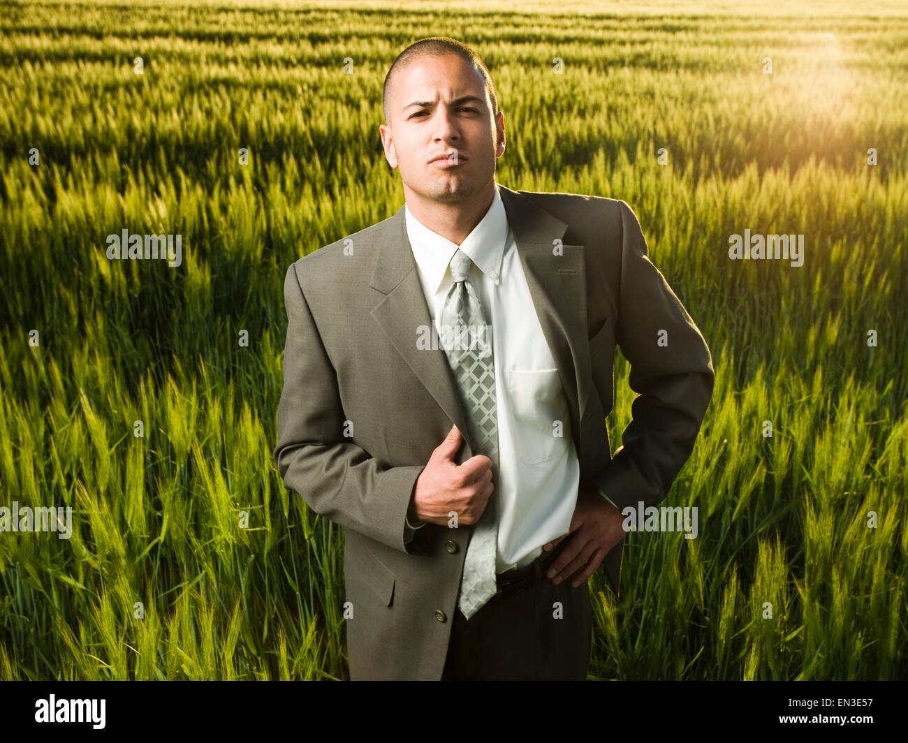 businessman in a field Stock Photo