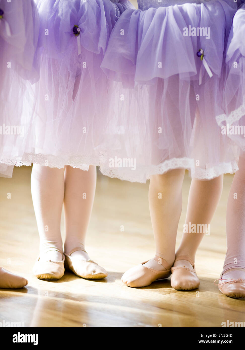 USA,Utah,Springville,Ballet dancer girls (4-5) feet Stock Photo