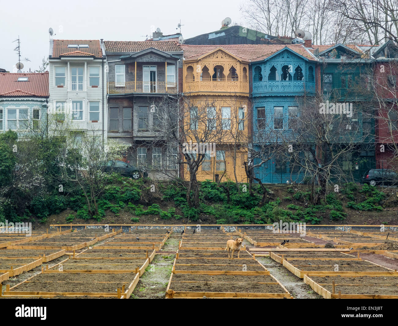 Old traditional Houses in Üsküdar, District of Istanbul, Turkey Stock