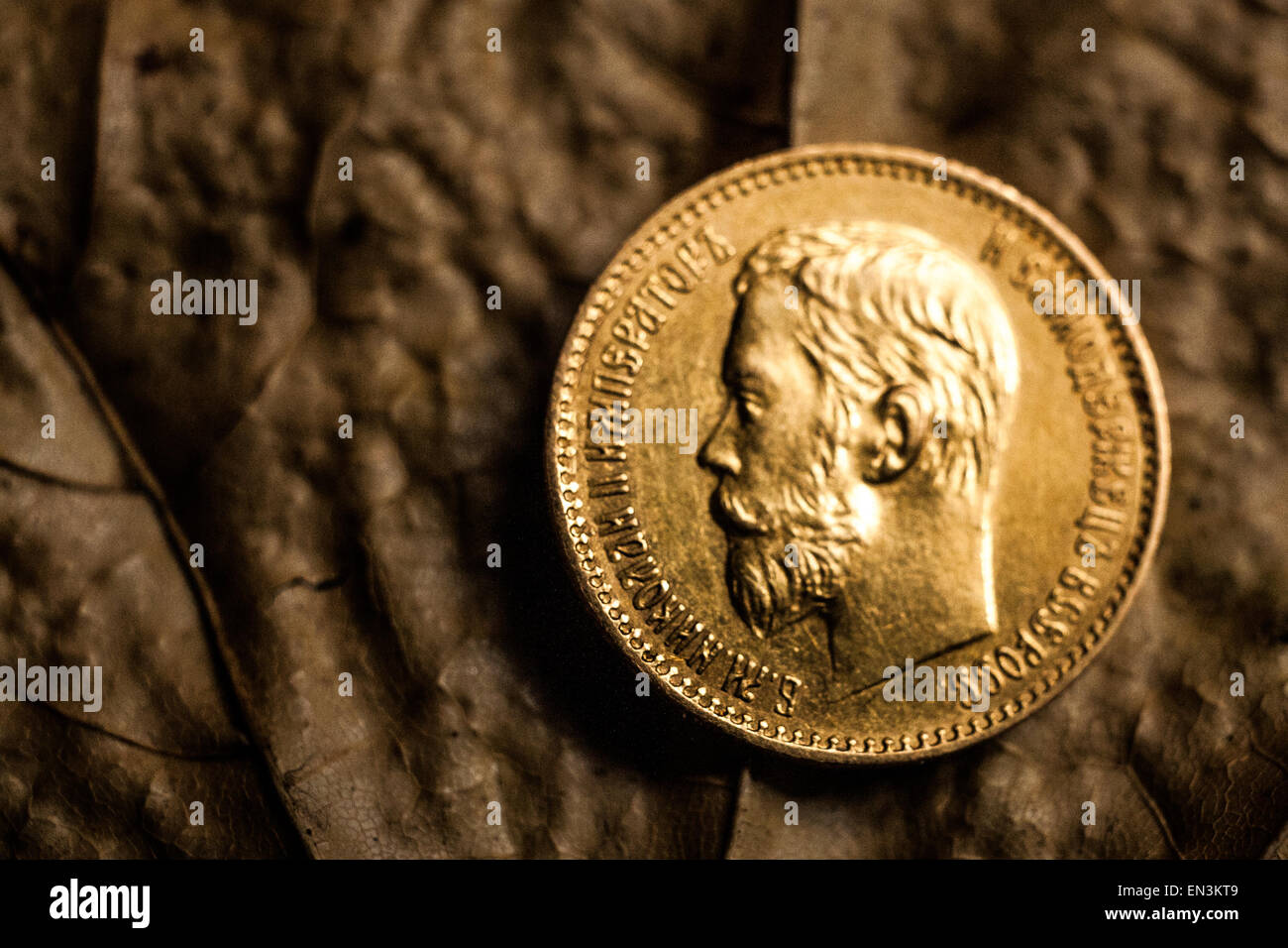 gold coin of five rubles with a portrait of Nikolay II the last emperor of Russia Stock Photo