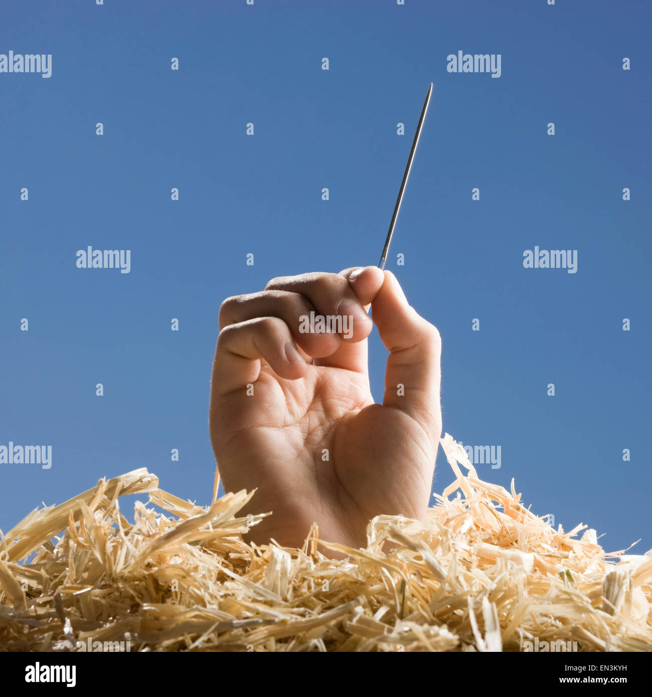 hand holding a needle in a haystack Stock Photo