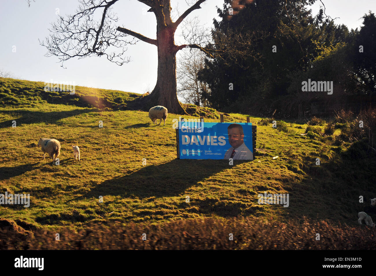 A General Election poster for Brecon & Radnorshire Conservative condidate Chris Davies. Stock Photo