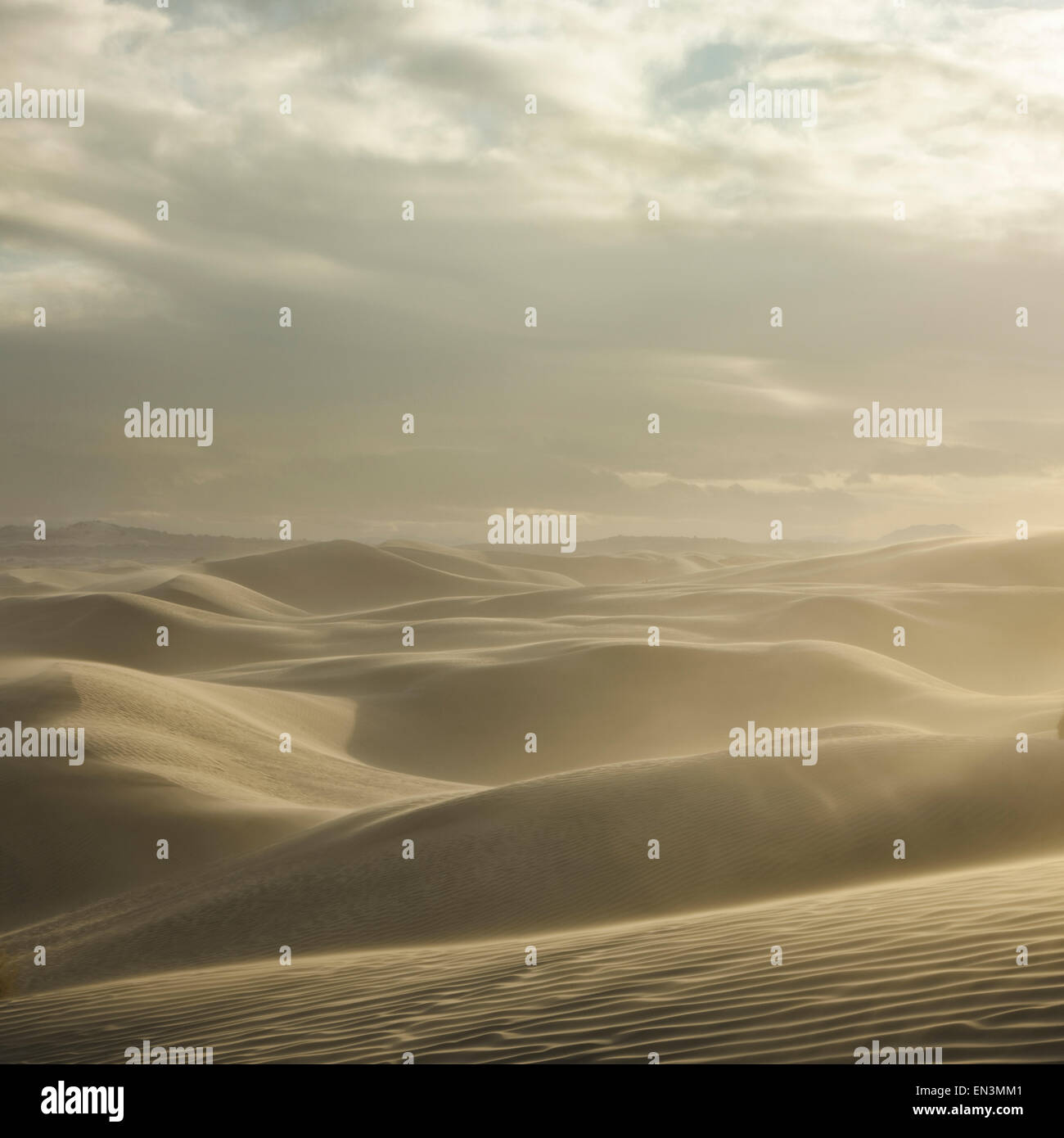 Little Sahara,Utah,USA,Desert landscape Stock Photo - Alamy