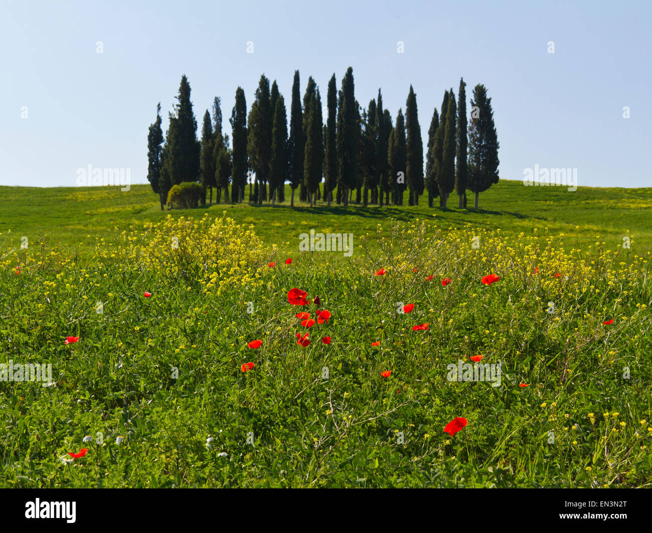 Italy, Tuscany, Val D'Orcia, Landscape Stock Photo