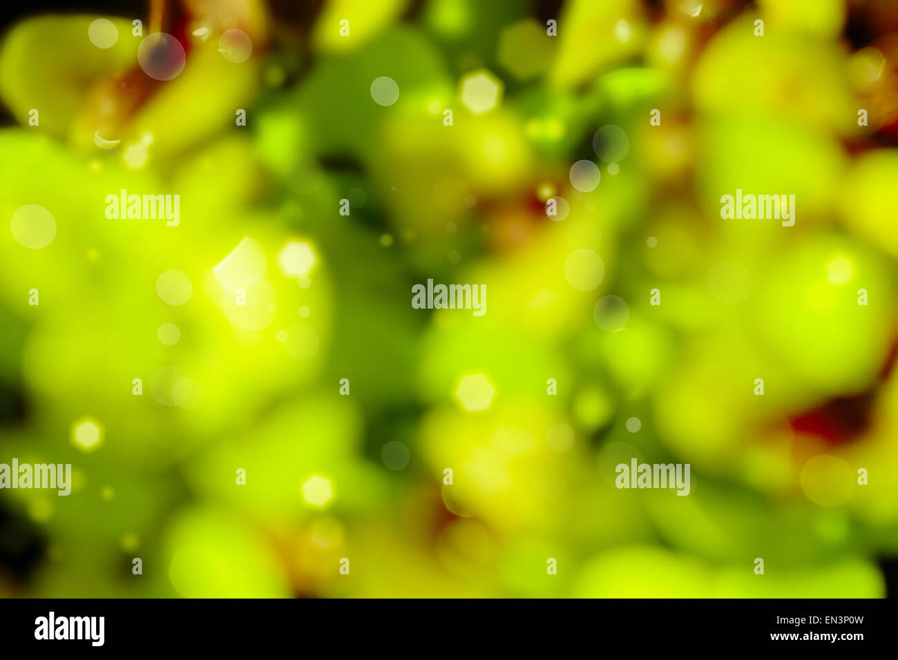 Abstract green nature background. Bokeh lights Stock Photo - Alamy