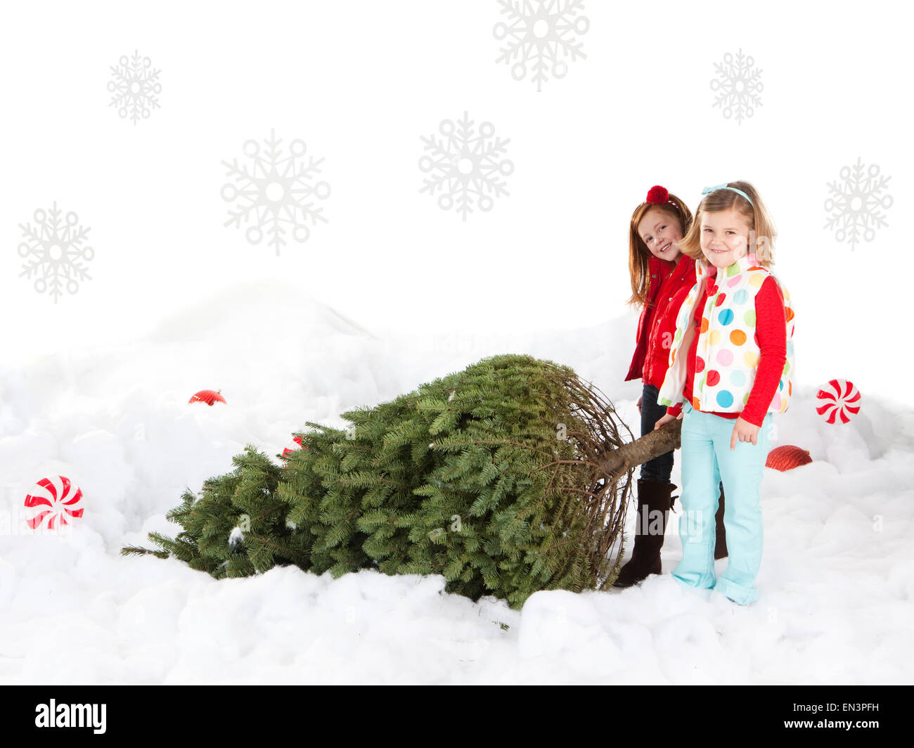 Two girls (4-5,6-7) pulling christmas tree Stock Photo