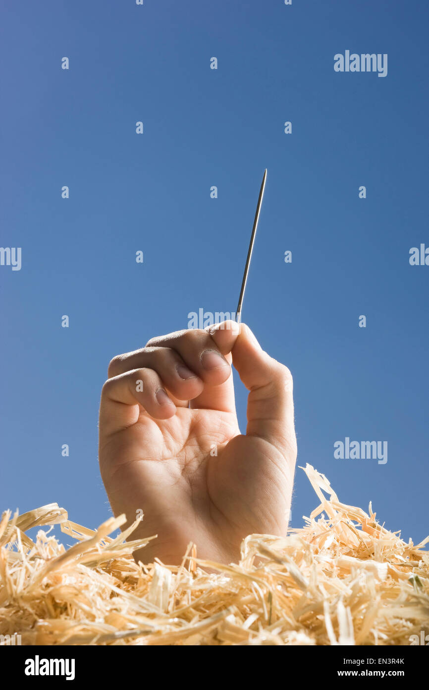 hand holding a needle in a haystack Stock Photo