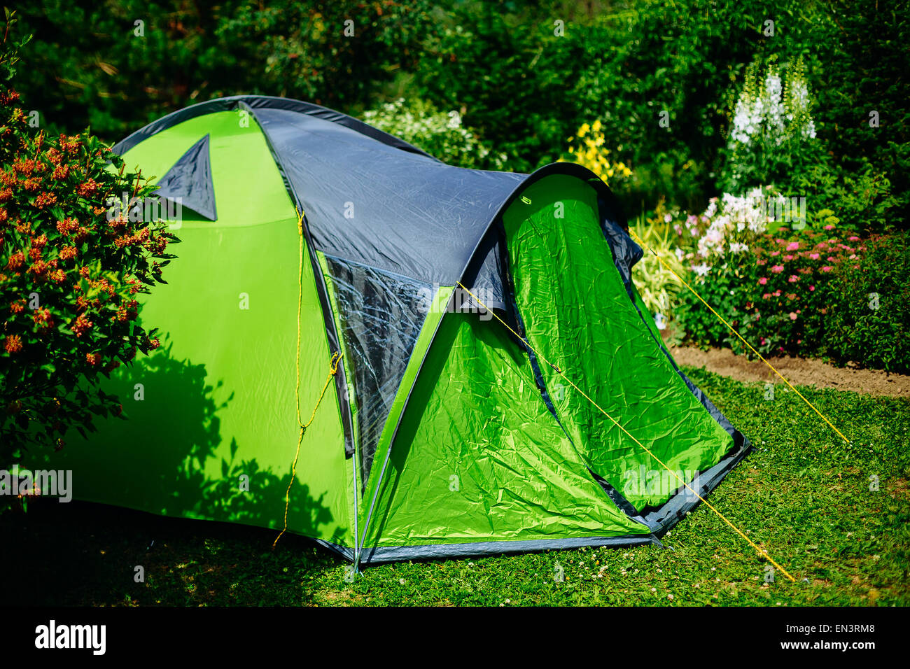 Tourist tent on green meadow. Camping background Stock Photo - Alamy