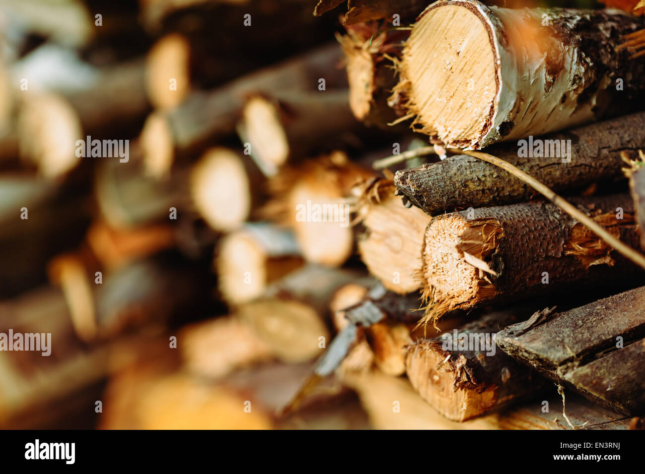 Stacked wood timber for construction. Background with logs. Selective ...