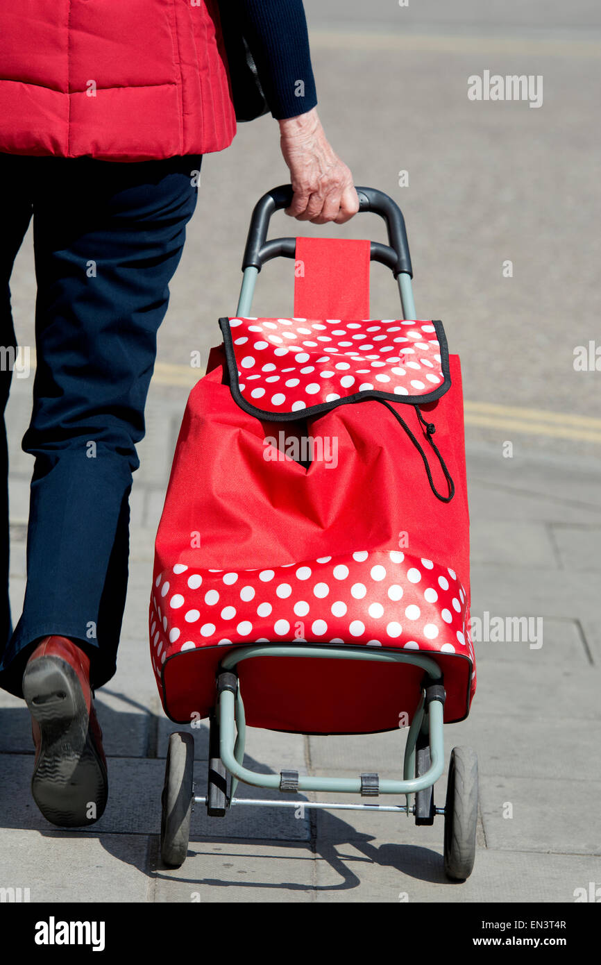 Pull Along Shopping Cart