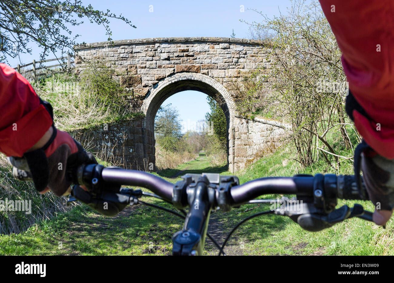 Mountain Biker on the Tees Railway Walk Between Cotherstone and Romaldkirk Teesdale County Durham UK Stock Photo