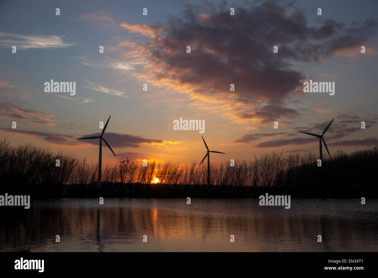 Wind turbines at sunset with reflections in a lake in the foreground ...