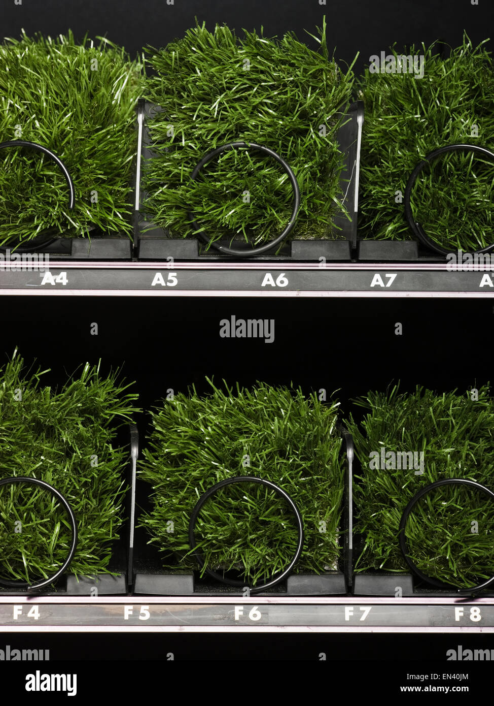 grass in a vending machine Stock Photo - Alamy