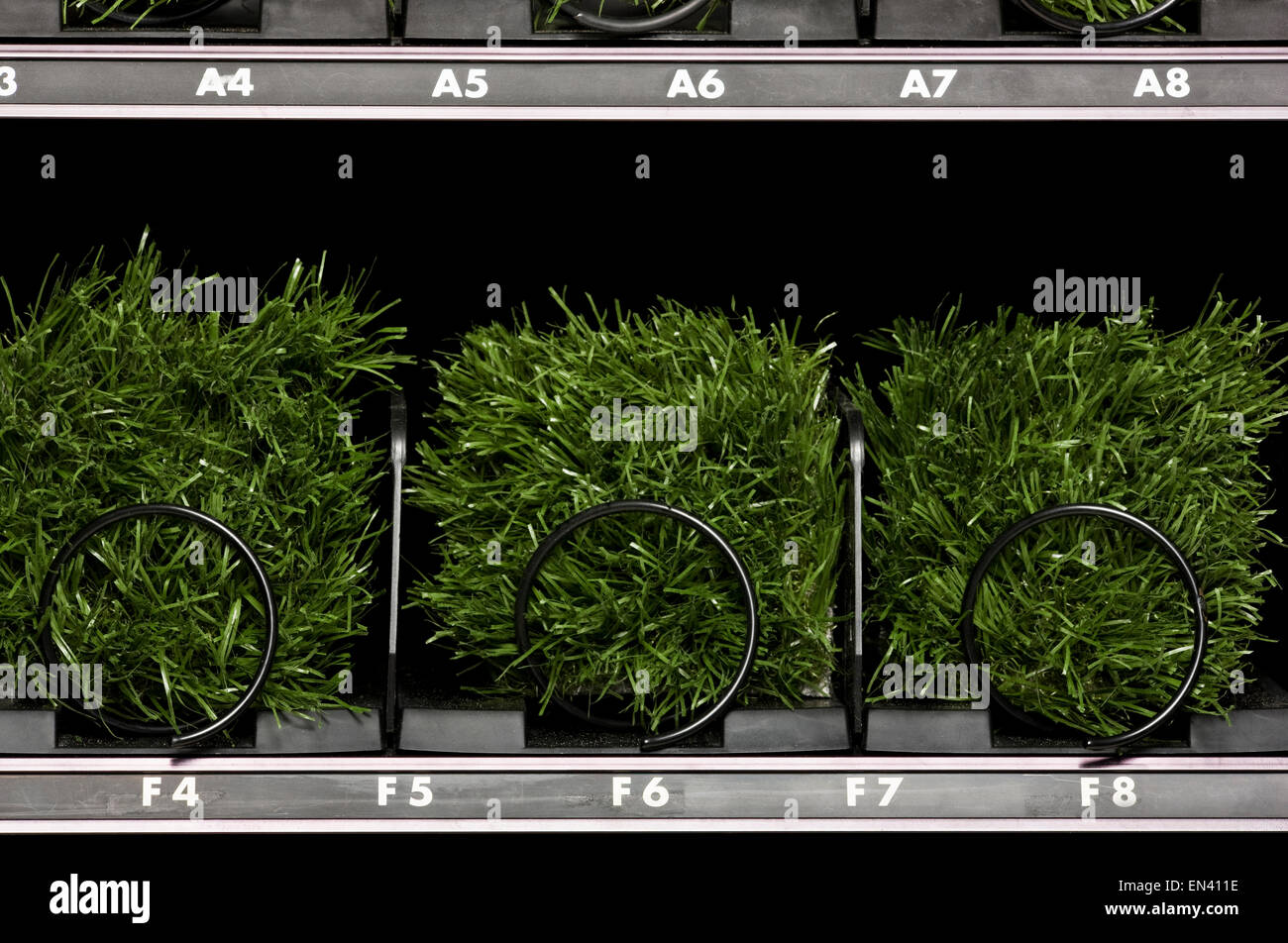 grass in a vending machine Stock Photo - Alamy