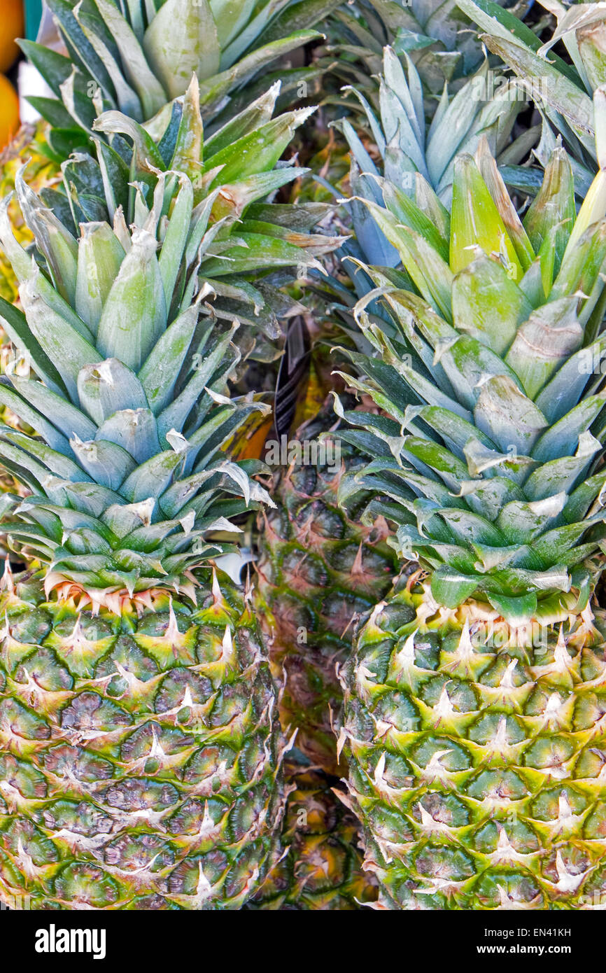 Pineapples for sale at the fruit market Stock Photo Alamy
