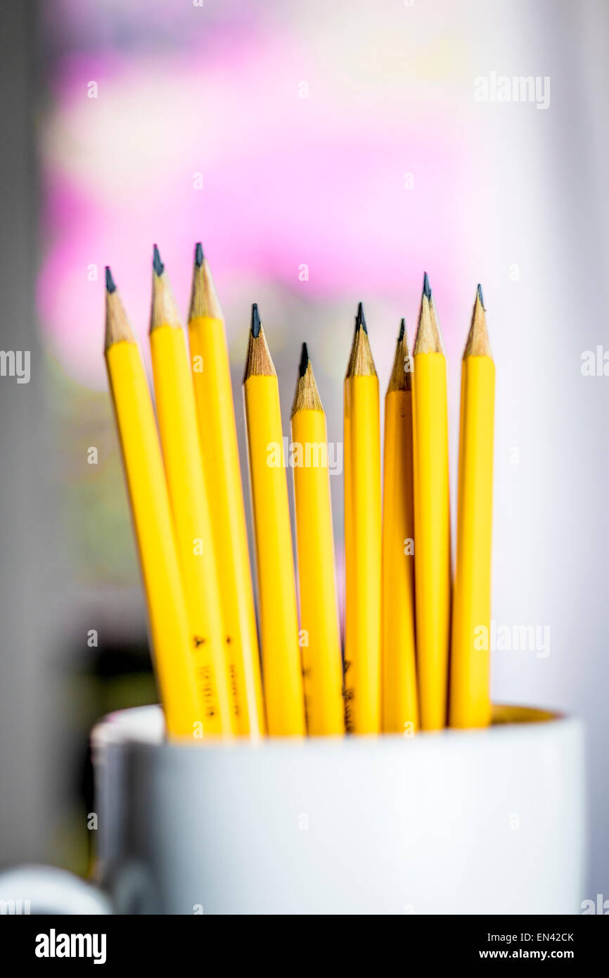 A group of yellow pencils in a white cup with a blurred background Stock Photo
