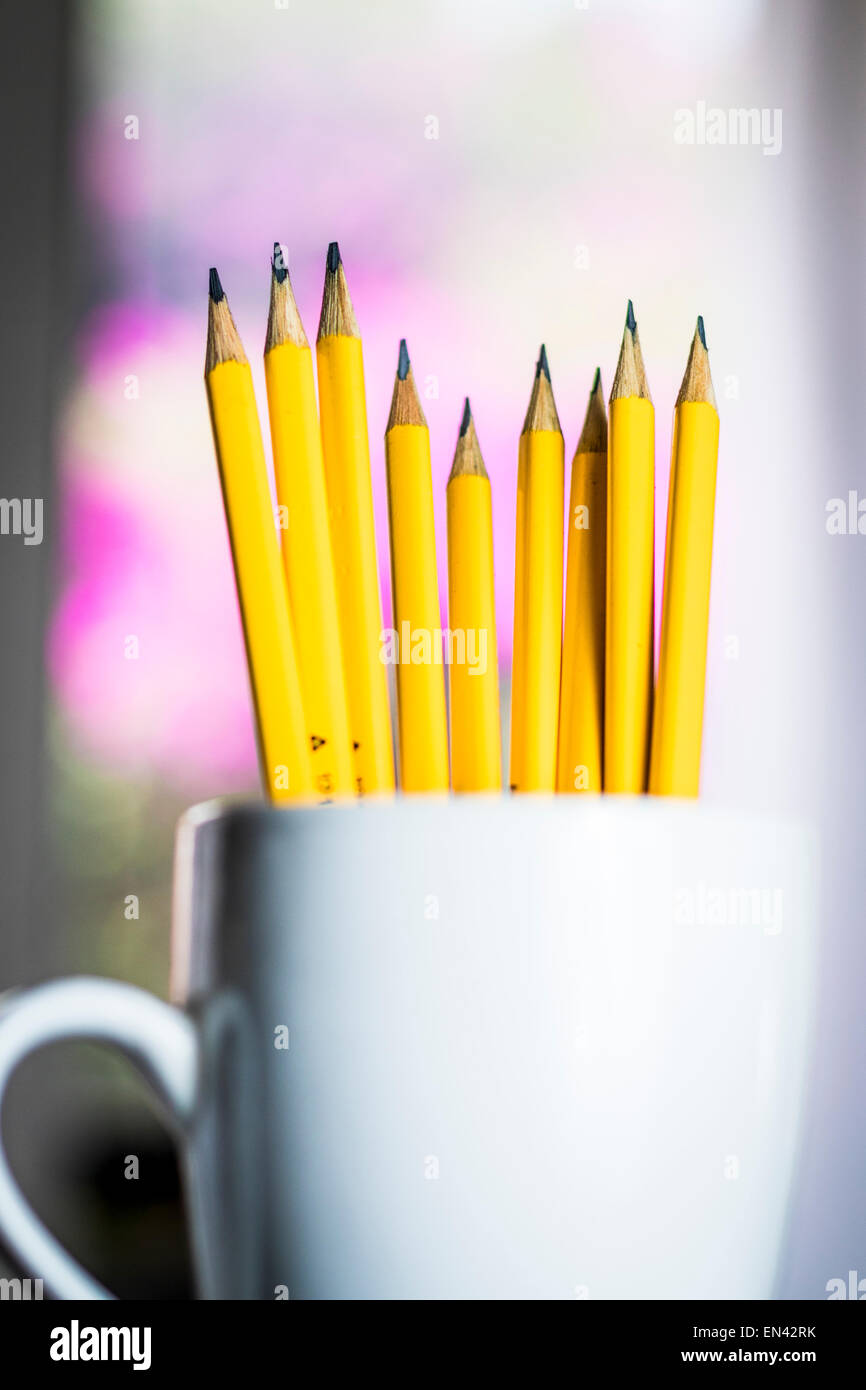 A group of yellow pencils in a white cup with a blurred background Stock Photo