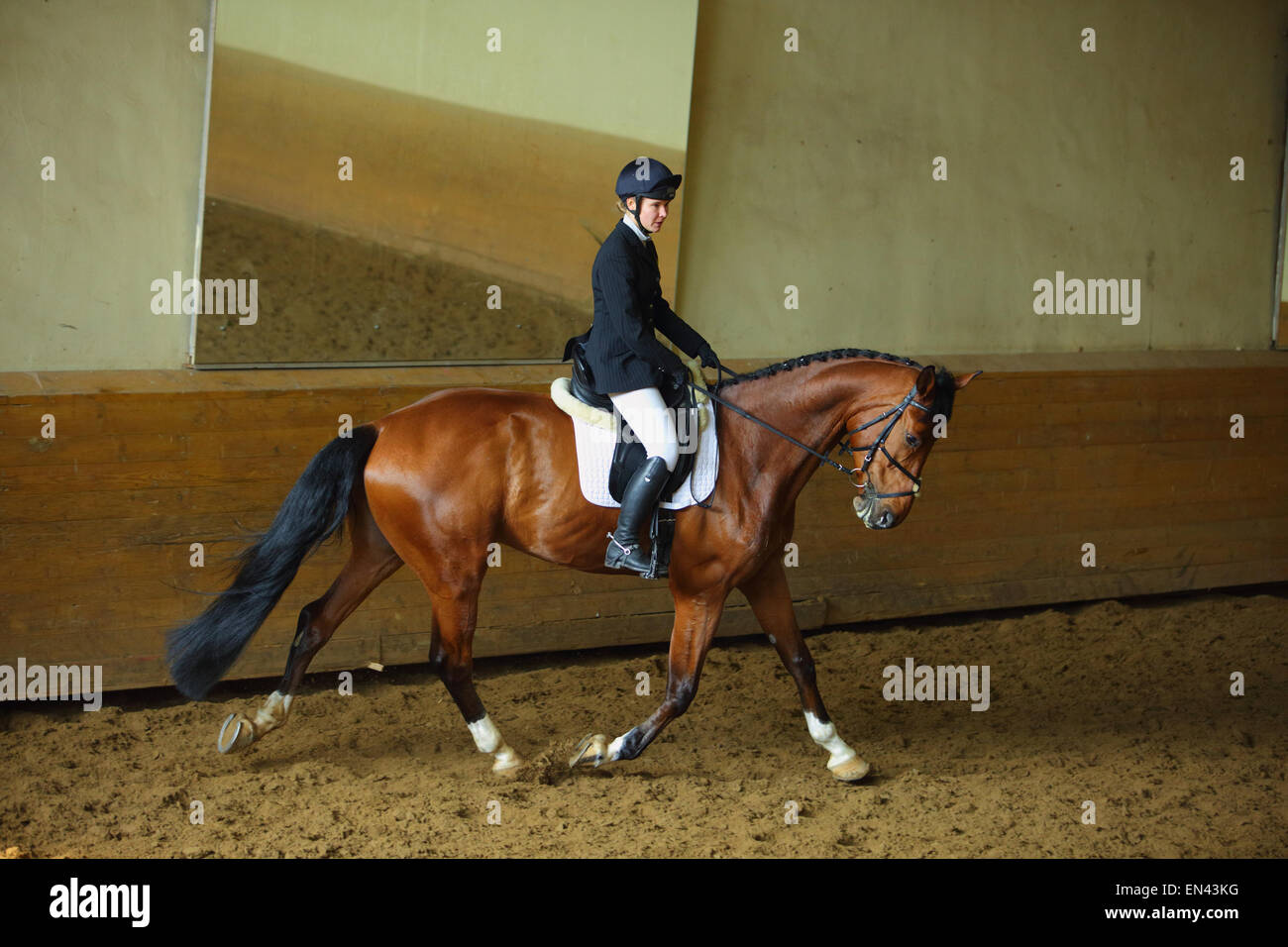 Woman in dressage costume with Warmblood horse Stock Photo