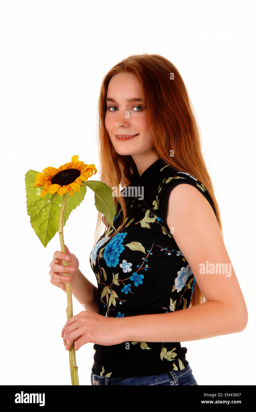A lovely brunette woman holding a single sunflower in her hand ...