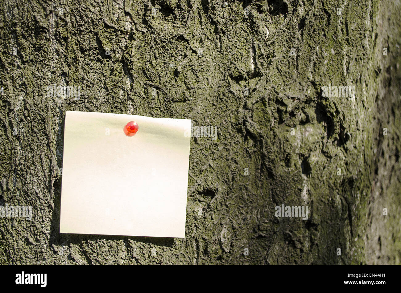 Sticky Note With Red Pin On Tree Background Stock Photo