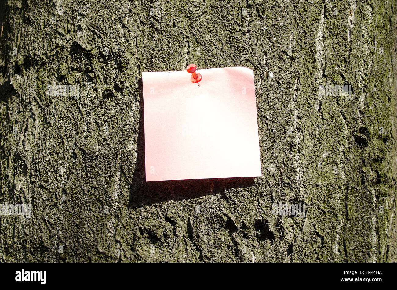 Sticky Note With Red Pin On Tree Background Stock Photo