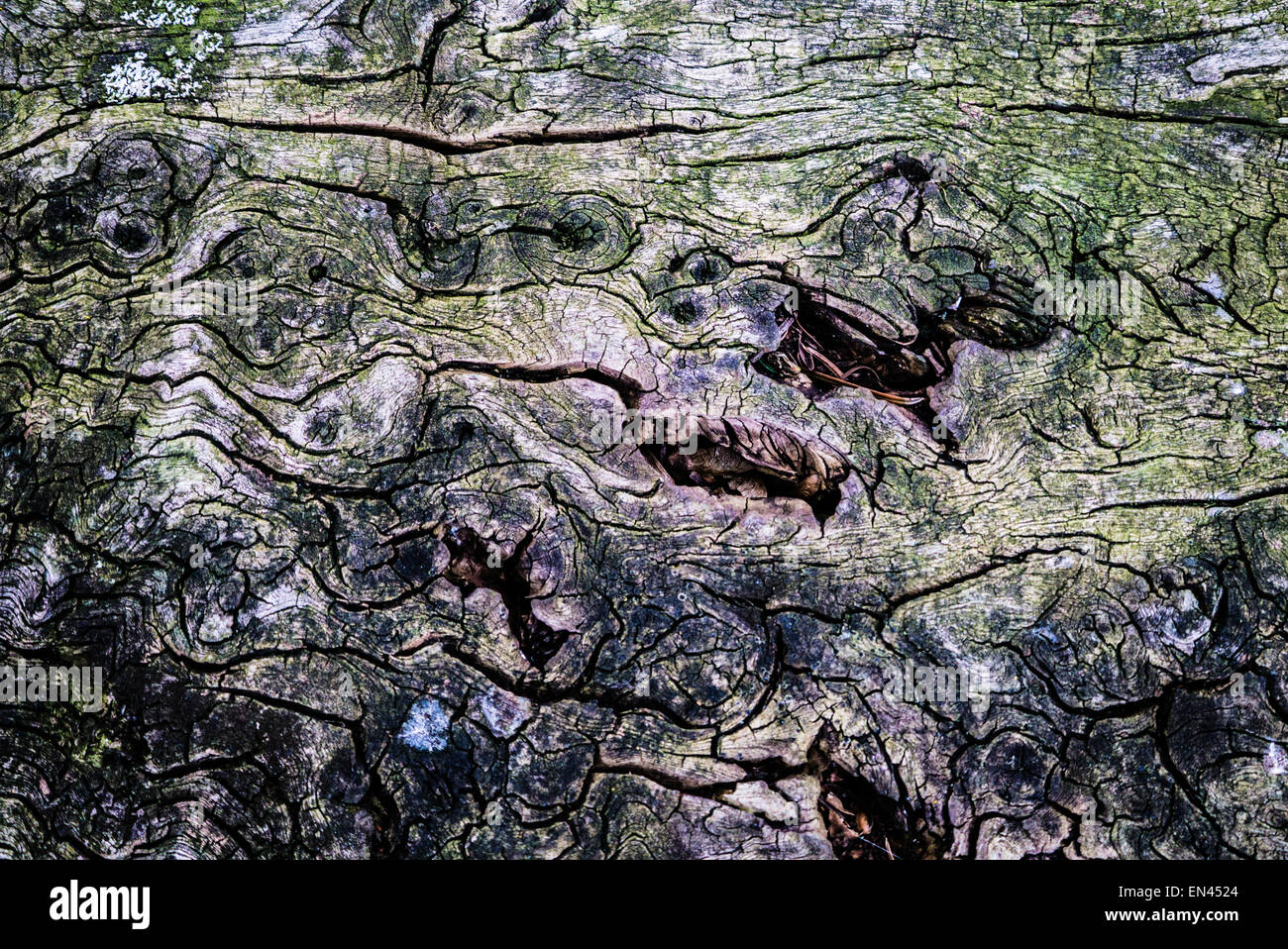 Old wood background design Stock Photo - Alamy