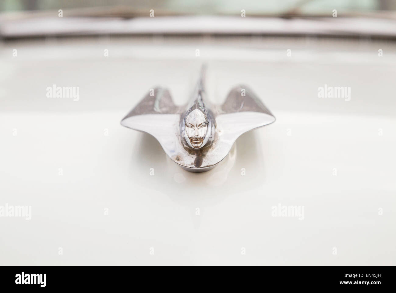 A head on view of the bonnet mascot of a white 1956 Cadillac Coupe De Ville. Stock Photo