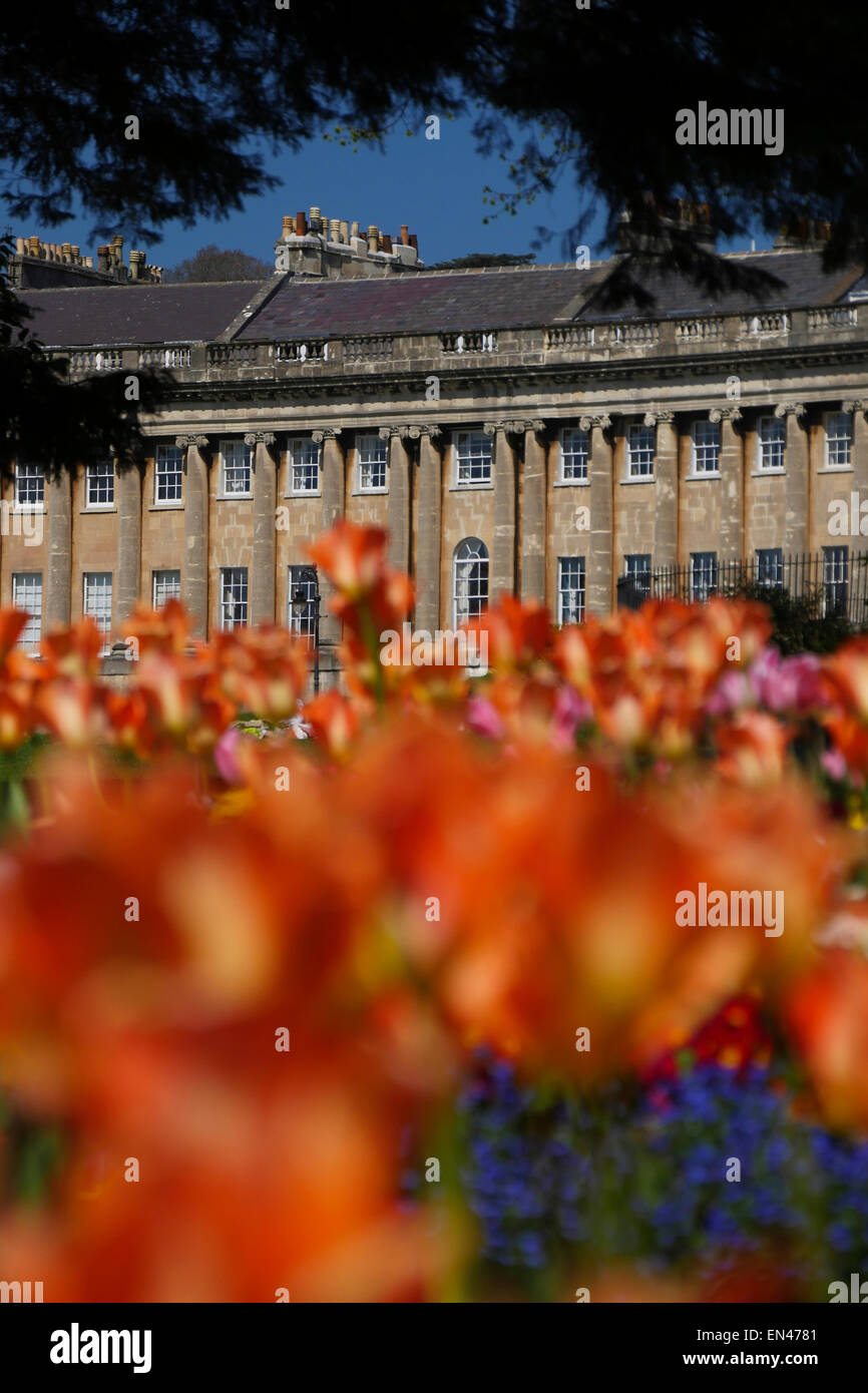 Royal Crescent, Bath, England, with spring flowers in foreground Stock Photo