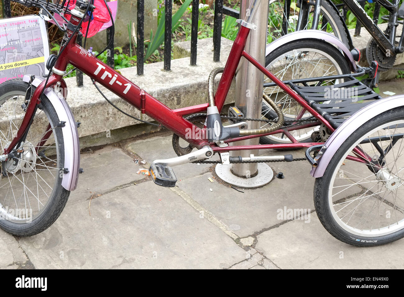 Pashley tri 1 online