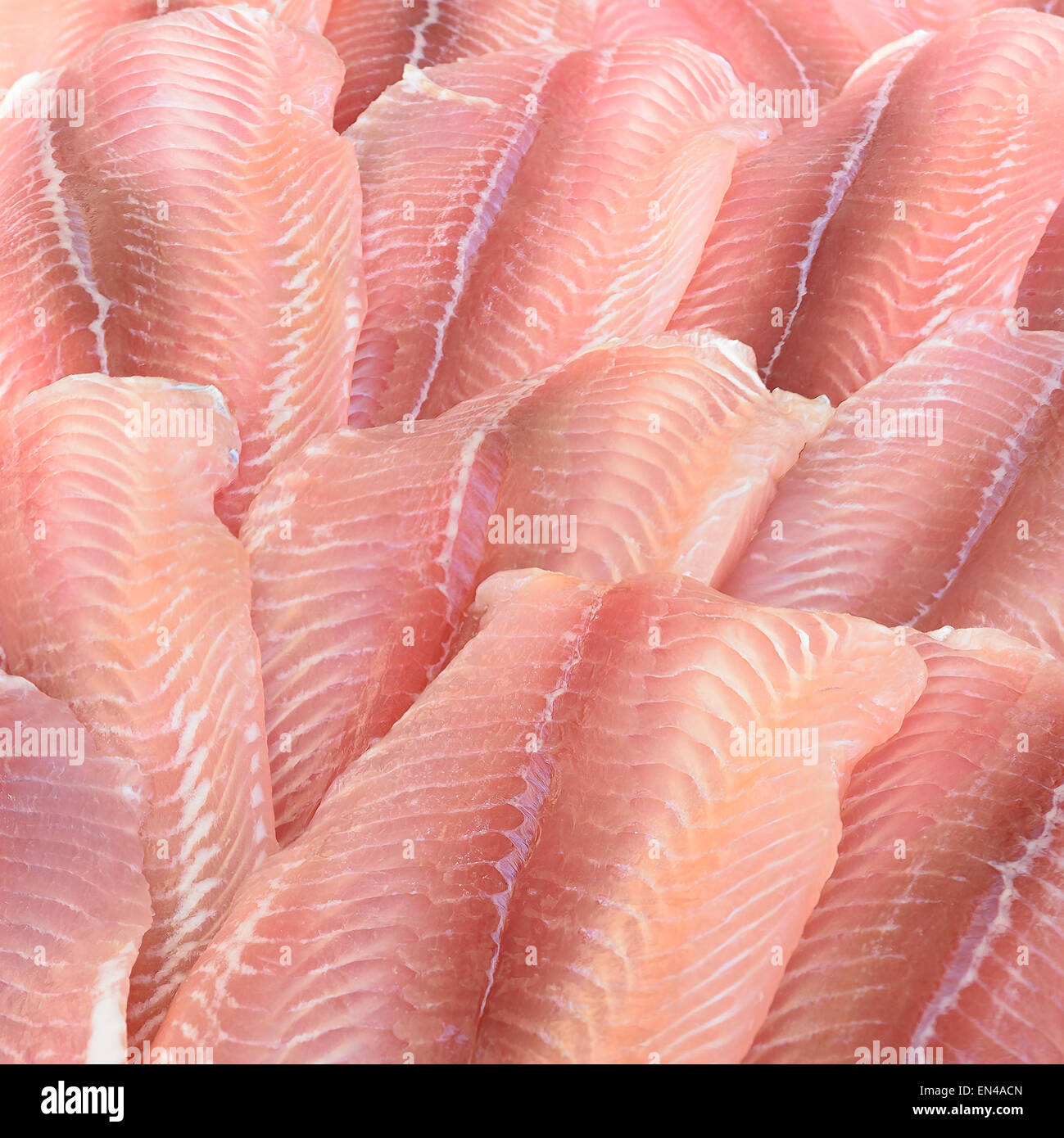 In the picture a group of pangasius fillets arranged in a row and pattern Stock Photo