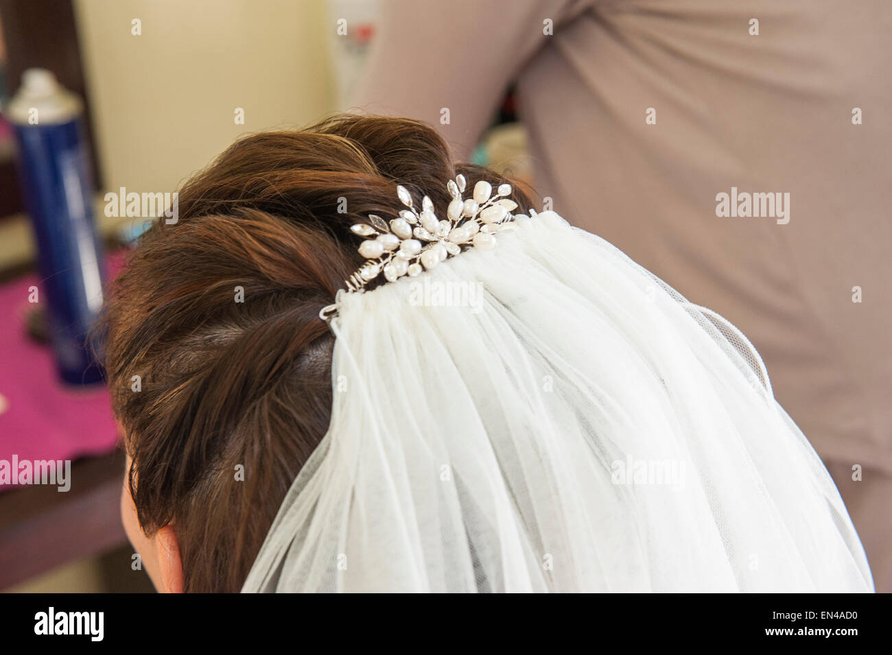 Closeup detail of a brides head showing hair style and head piece veil Stock Photo