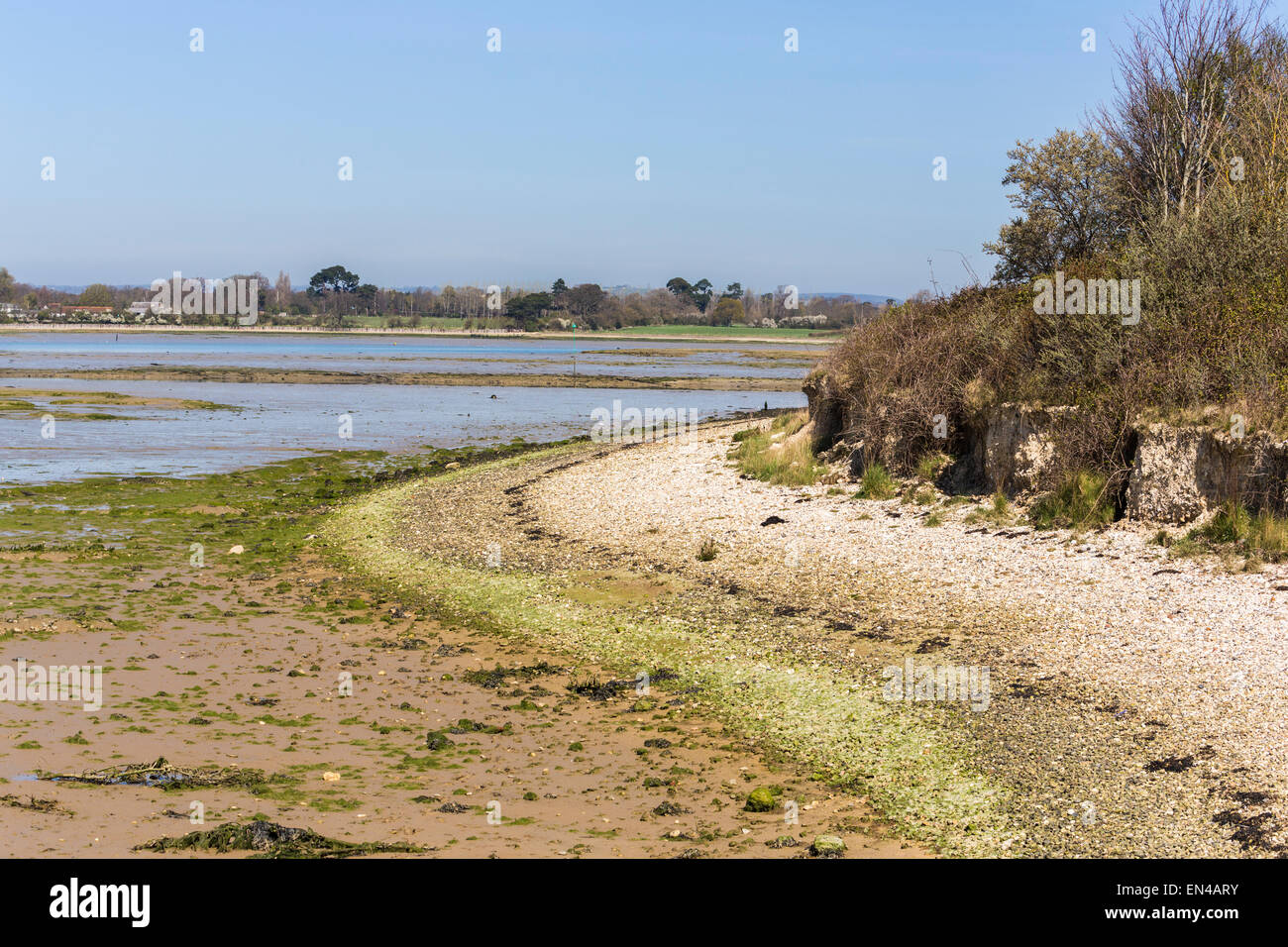 Low tide shoreline at Hayling Island ,Chichester Harbour on the Solent, southern England