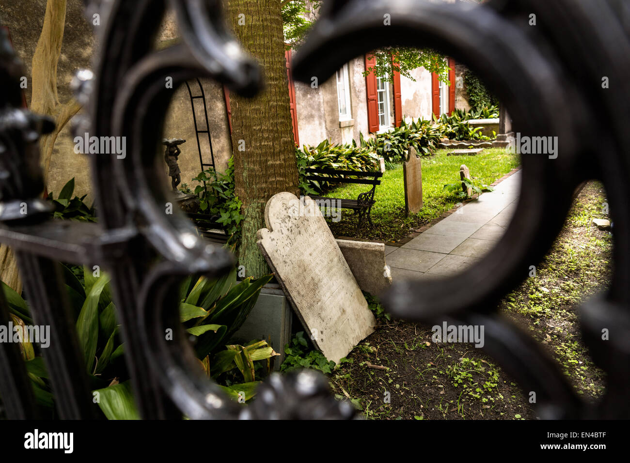 A tombstone rests on a palm tree in the garden of the French Huguenot Church along Queen Street in historic Charleston, SC. Stock Photo