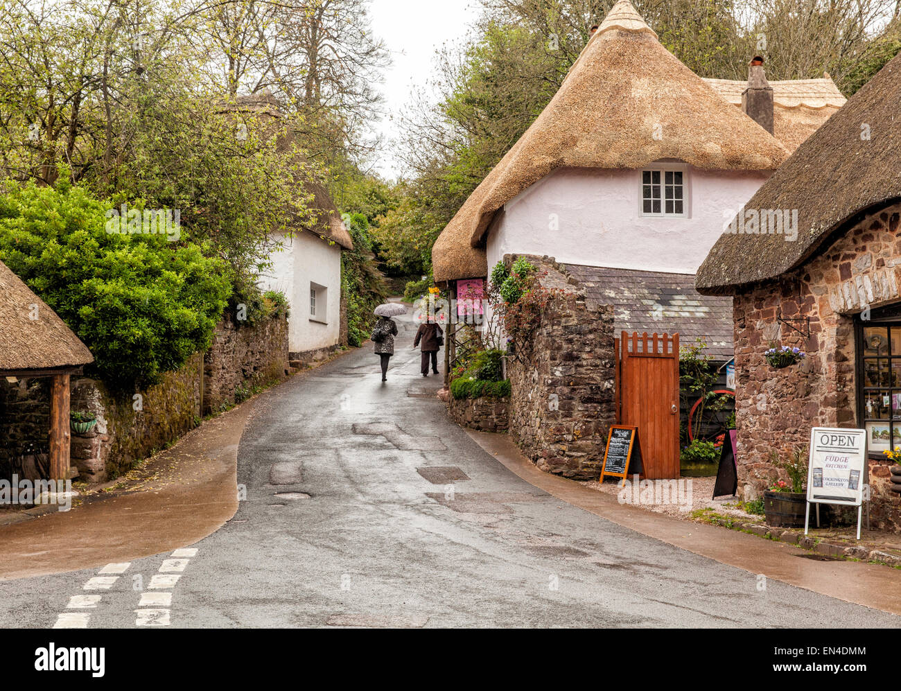 Two middle aged ladies walking up a country lane next to thatched cottages in Devon in England holding umbrellas in the rain Stock Photo