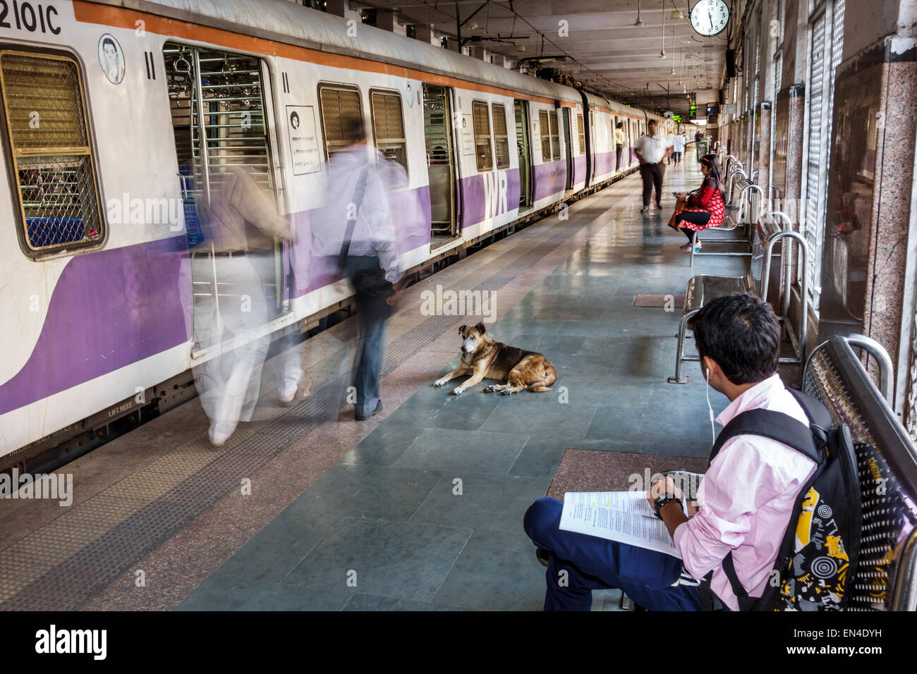 Can We Travel With Dog In Train In India