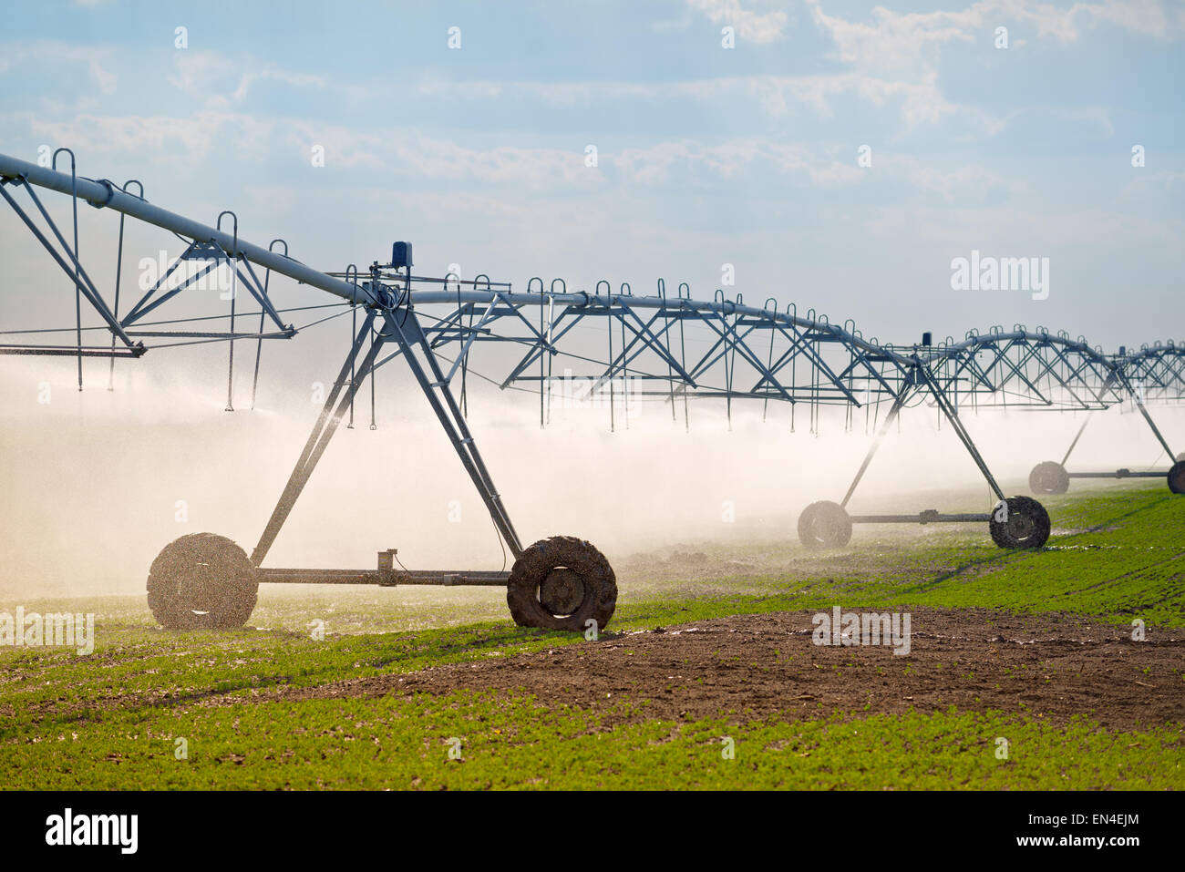 Automated Farming Irrigation Sprinklers System in Operation on Cultivated Agricultural Field Stock Photo