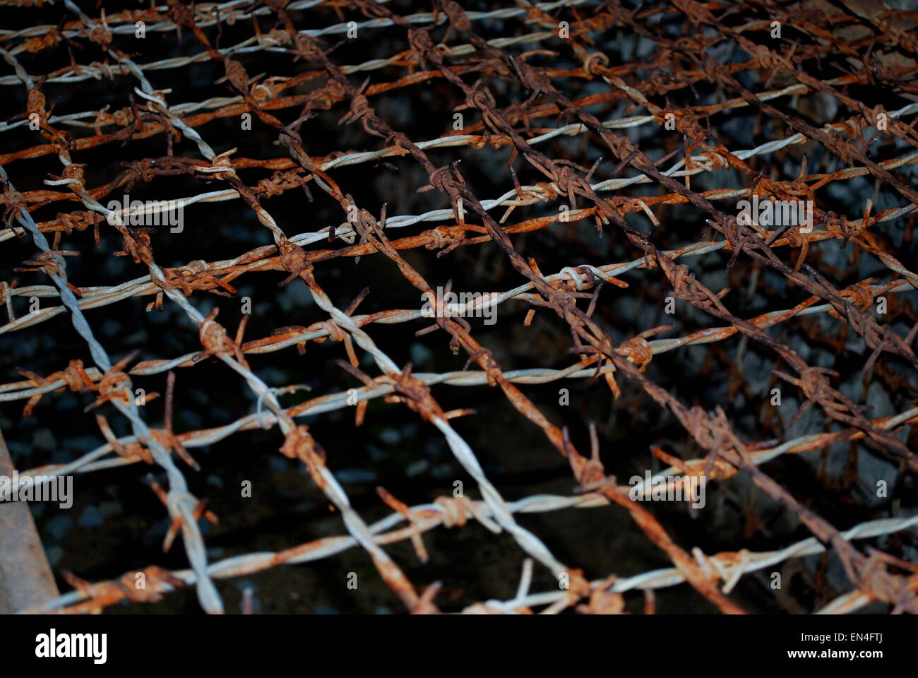 Tiger cages used for punishment at Vietnam’s War Remnants Museum Stock ...